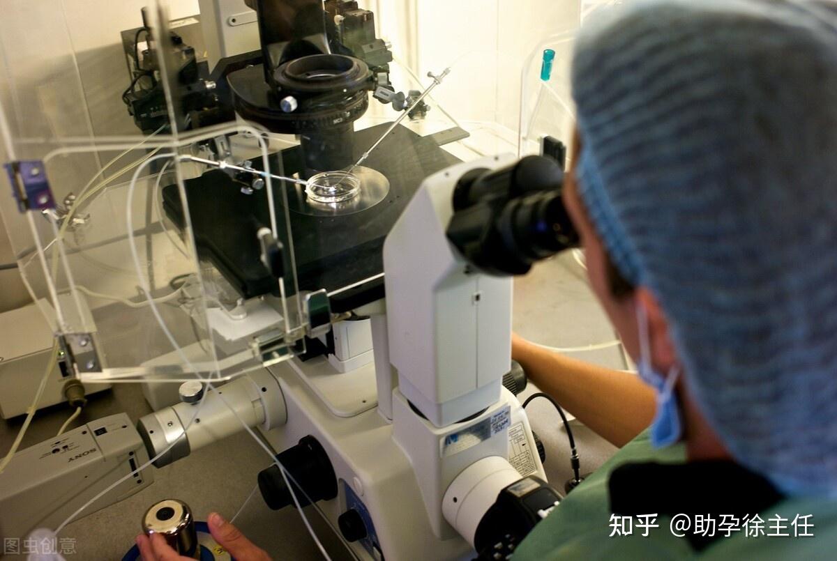 龙岩辅助生殖技术伦理考量